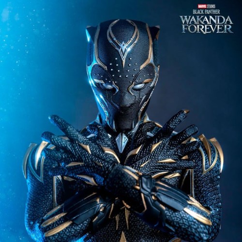 Black Panther Wakanda Forever Movie Masterpiece 1/6 Action Figure Black Panther by Hot Toys